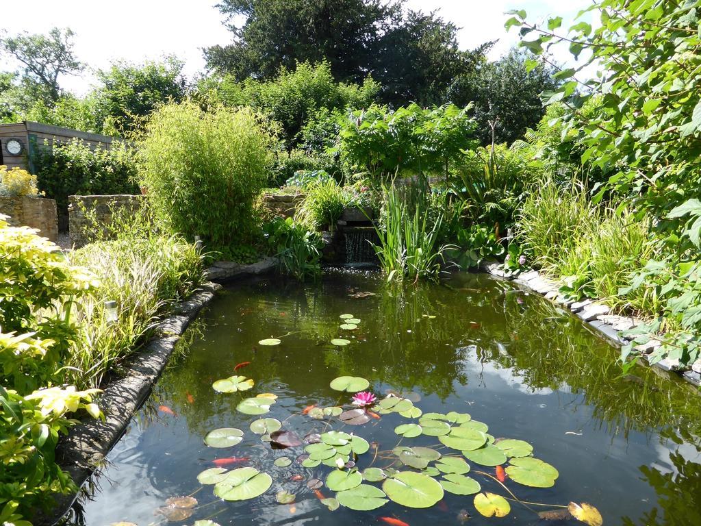 Liongate House Bed and Breakfast Ilchester Buitenkant foto