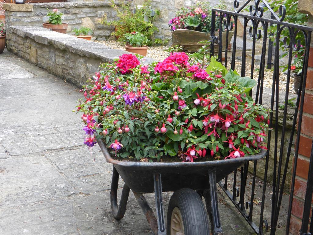 Liongate House Bed and Breakfast Ilchester Buitenkant foto